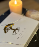 HOIA homespa Jade roller ja Gua Sha komplekt